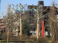 Imagine atasata: Openville - 2019.03.24 - 17.jpg